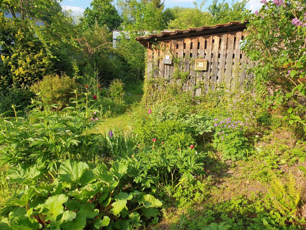 Unser Obervolkacher Ferienhaus-Einfach Gemutlich! ภายนอก รูปภาพ